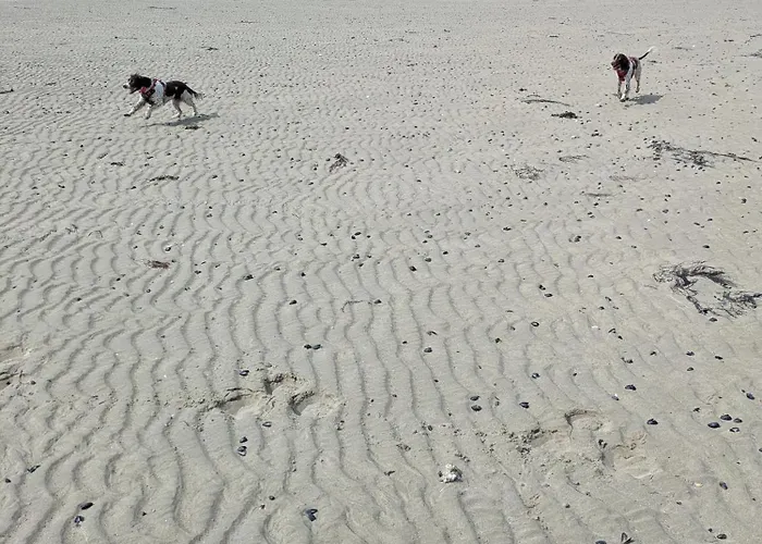 Village 35 Alpehytte