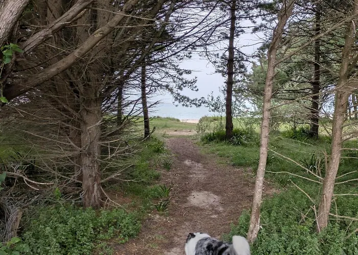 Alpehytte Village 35 *